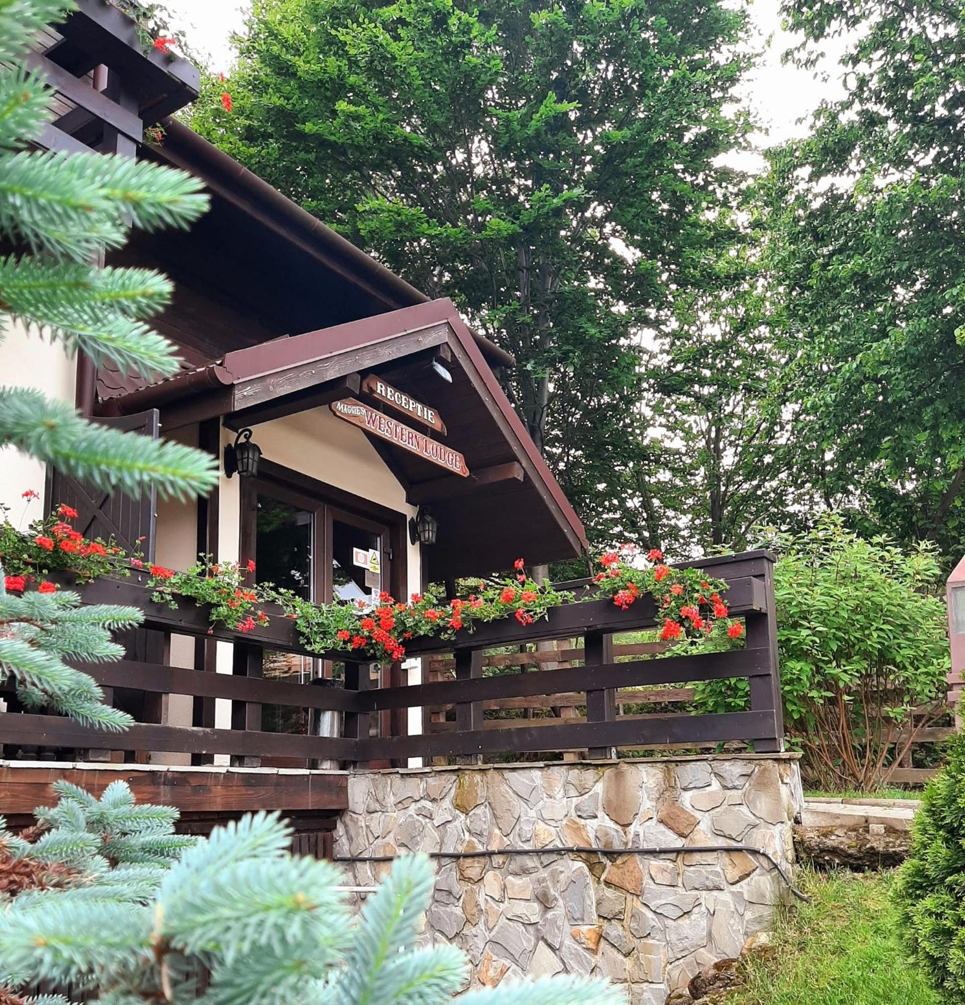 Maggie'S Ranch Hotell Rîşnov Exteriör bild